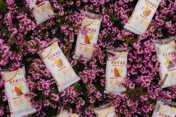 Frühlingsfavoriten: was bei den Kunden gewinnt